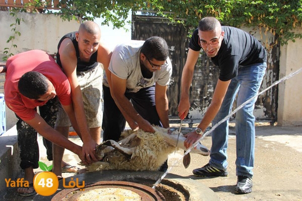 dabe7 ludj31 (41).JPG